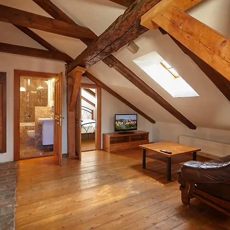 Daire Muzeum Vltavinu Český Krumlov