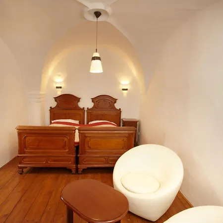 Apartment Muzeum Vltavinu