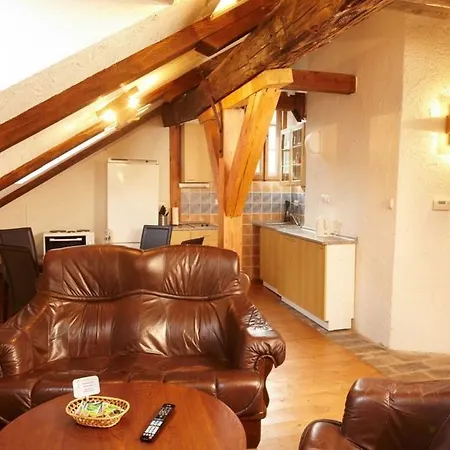 Muzeum Vltavinu Apartment Cesky Krumlov