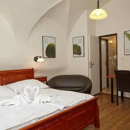 Apartman Muzeum Vltavinu *