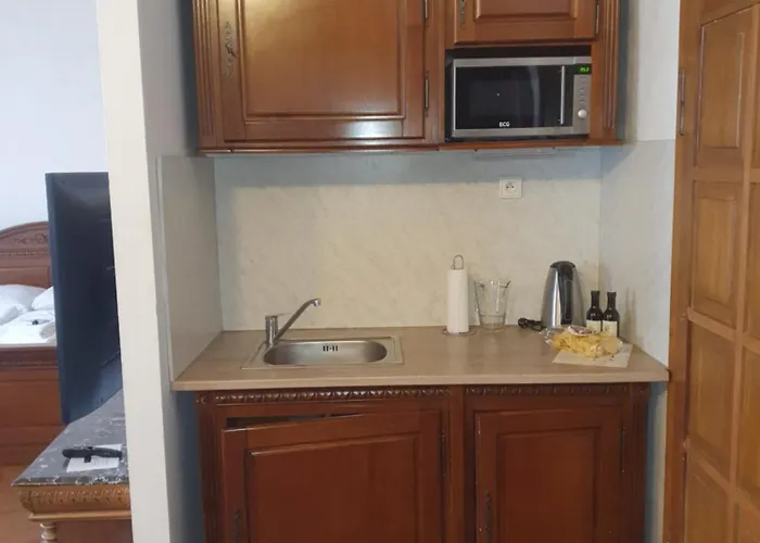 Apartment Muzeum Vltavinu