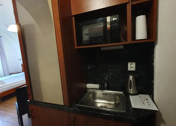 Apartment Muzeum Vltavinu Český Krumlov