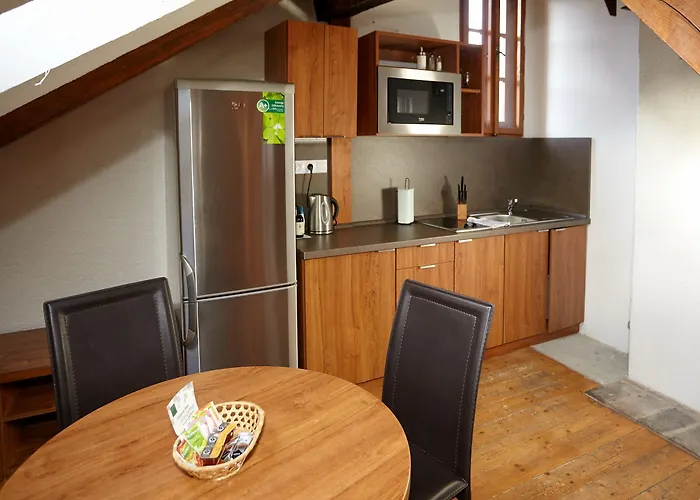 Apartament Muzeum Vltavinu Czeski Krumlow