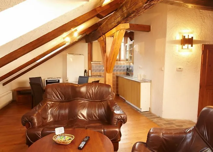 Muzeum Vltavinu * Чески-Крумлов