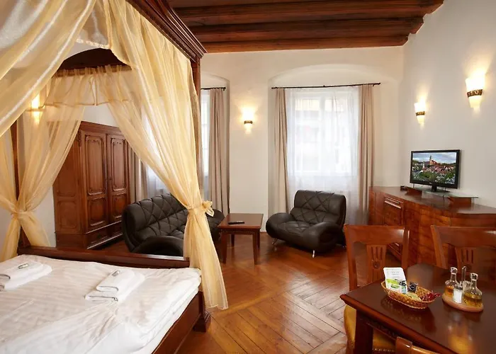 Apartament Muzeum Vltavinu Czeski Krumlow