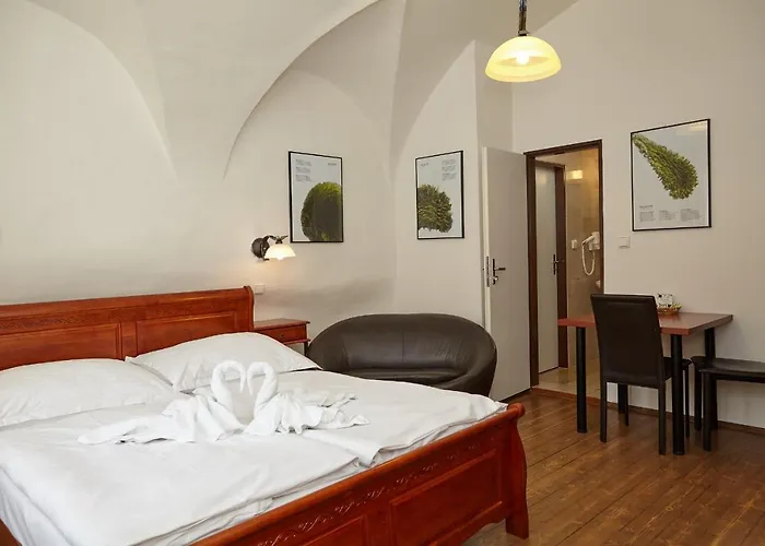 Apartament Muzeum Vltavinu *