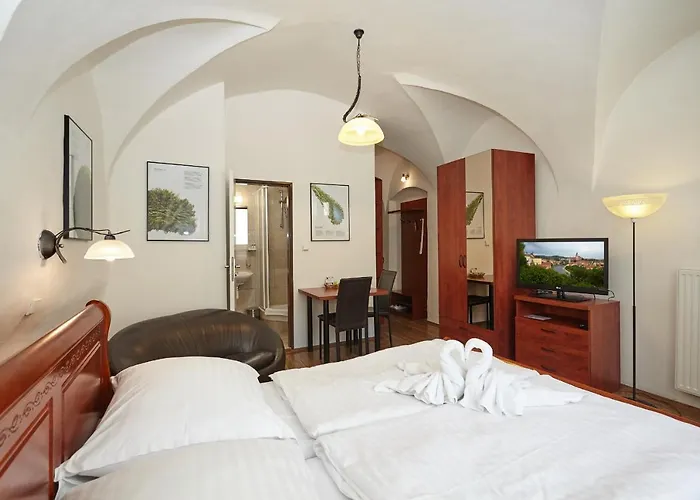 Muzeum Vltavinu * Český Krumlov